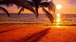 beautiful-sunset-on-the-beach-with-palm-tree-for-travel-and-vacation-free-photo