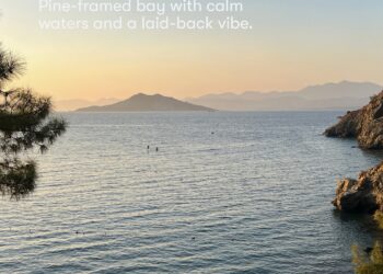 Omio: Your Smart Travel Companion for Seamless Global Journeys