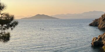 Omio: Your Smart Travel Companion for Seamless Global Journeys