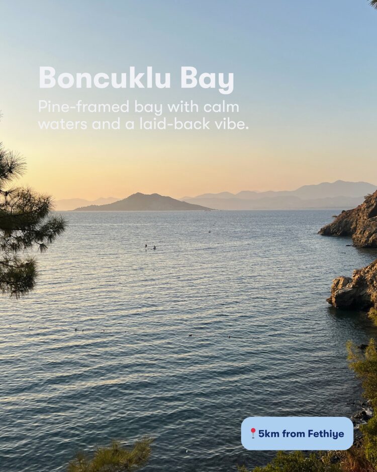 Omio: Your Smart Travel Companion for Seamless Global Journeys