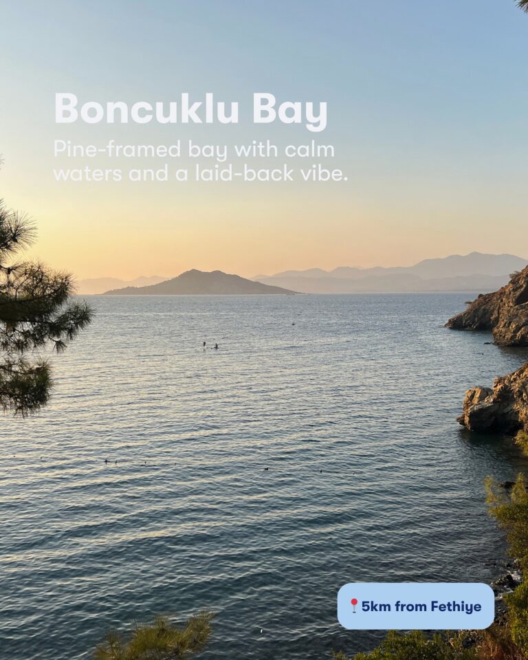 Omio: Your Smart Travel Companion for Seamless Global Journeys