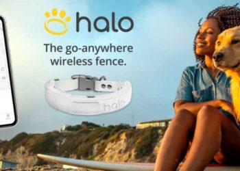 HaloCollar: Revolutionizing Pet Care With Innovation, Comfort, and Smart Design