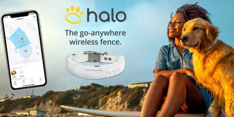 HaloCollar: Revolutionizing Pet Care With Innovation, Comfort, and Smart Design