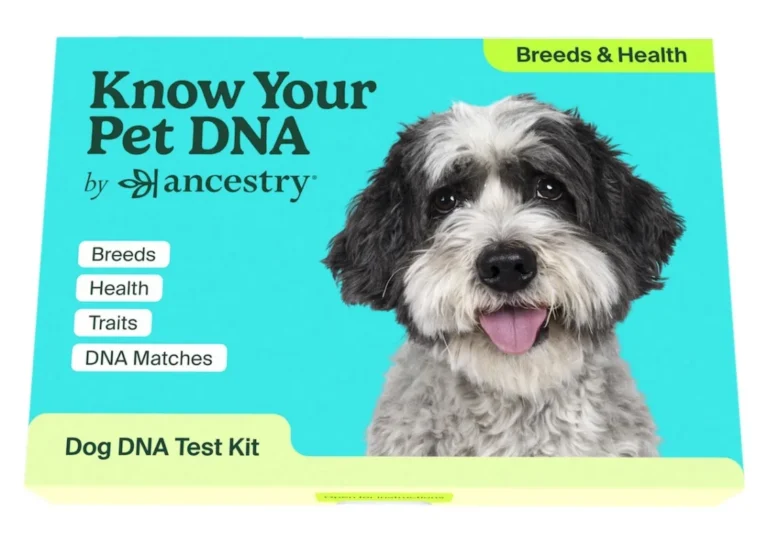 PetDNA by Ancestry: Unlocking the Genetic Story Behind Your Beloved Pet