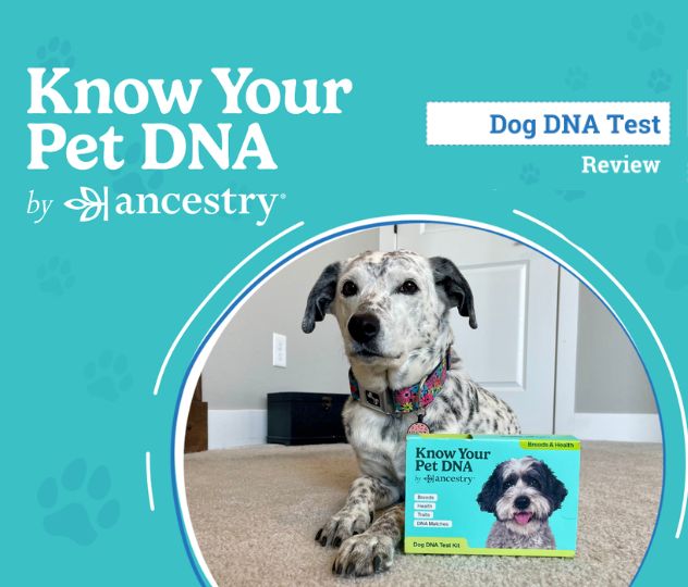 PetDNA by Ancestry: Understanding Your Pet’s Genetic Story for Better Care