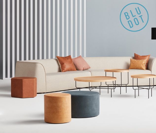 Bludot: Redefining How the Digital World Connects, Verifies, and Trusts