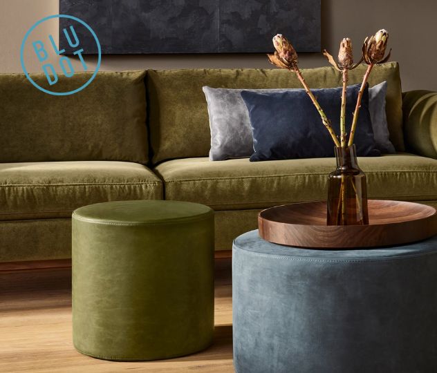 Bludot: Revolutionizing Digital Identity, Data Ownership, and Web3 Security